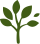 favicon-belflora-farmacia