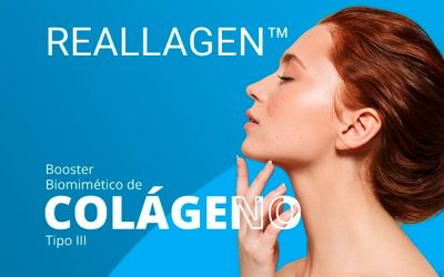 Reallagen