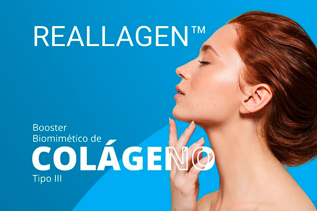 Reallagen